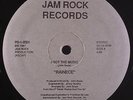 Rainece-I Got The Music 12