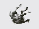 Anberlin - Dark Is The Way. Light Is A Place [Vinyl New]