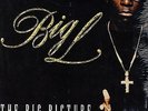 Big L - The Big Picture (1974 - 1999) '00 2xLP US ORG DJ Premier, Lord Finesse