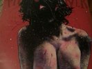 PIG DESTROYER TERRIFYER LP black grindcore napalm death metal morbid angel RARE