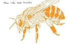 Lost Bees - Life & Times - VINYL LP Rel. 17 Nov 14