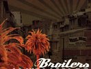 Broilers Oi Punk