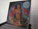 THE ALLNIGHTER picture disc soundtrack LP signed by Susanna Hoffs BANGLES