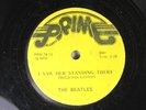 Hear Prime 78 The Beatles - I Saw Her Standing There / Twist & Shout On Prime