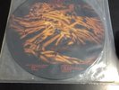 The Jesus Lizard, Goat Picture Disc Very limited Vinyl