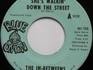 Rare Ohio Northern Sweet Soul 45 - In-Betweens - Just Friends - BLUE ONION mp3