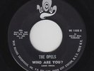 Northern/Deep Soul 45 - Opels - Who Are You? - Wow - mp3 - unknown?