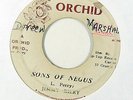 Reggae 45   Jimmy Riley   Sons Of Negus   Orchid   mp3 lee perry rare