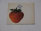 THE ROCKIN' BERRIES - NEW FROM THE BERRIES - ORIGINAL 1965 7