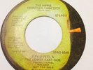 David Peel - The Hippie From New York City / Ballad of NYC - Apple 45 Promo DJ