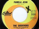 the SURVIVORS aka Brian Wilson & friends Pamela Jean After The Game SURF 45 CC99
