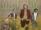THE MEDIUM s/t LP 1969  CANADIAN Gamma 1st Press PSYCH FUZZ Quebec MINT