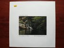 Hans-Joachim Roedelius Like the Whispering of Wind Cicada Norway LP STILL SEALED