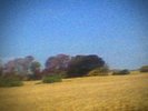 Sun Kil Moon - Benji (2014)  2LP Limited CLEAR Vinyl  NEW/SEALED  SPEEDYPOST