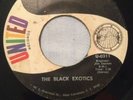 THE BLACK EXOTICS   What Am I Waiting For   UNITED U-0311    Orig FUNK