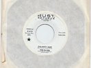 CALAMITY JANE/NOW SHE'S GONE - THE RAVEN