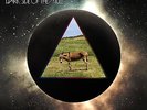 Dark Side of the Mule by Gov't Mule Vinyl Record (2014) Brand New