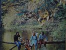 PAUL McCARTNEY WINGS Wild Life 1972 BEATLES Very Rare MONO Press LP BRAZIL