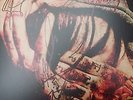 The Amity Affliction youngbloods vinyl 2nd pressing tri limited edition signed