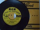 CHARADES - I DONT WANT TO LOSE YOU - MGM PROMO (original)