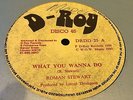 Roman Stewart What You Wanna Do Rare Killer Roots 12