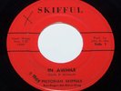 1965 PICTORIAN SKIFFULS  In Awhile  PRIVATE OHIO GARAGE 45 ON SKIFFUL *HEAR*  