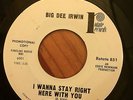Soul 45 - Big Dee Irwin - You Satisfy My Needs I Wanna Stay Right Here... Rotate