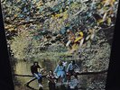 PAUL MCCARTNEY / WINGS VERY RARE SEALED LP WILDLIFE 1980 USA PRESS OUT OF PRINT