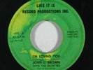 Northern Soul 45 JOHN L. BROWN Sweet Young Love/I'm Losing You on Like It Is