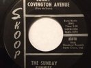 THE SUNDAY FUNNIES -SUNNY COVINGTON AVENUE ON SKOOP SANTA CLAUS INDIANA GARAGE