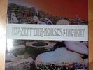 Vinyl Led Zeppelin 
