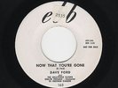 '59 W Coast Doowop/Exotic DAVE FORD/HOLLYWOOD FLAMES Now That You're Gone HEAR