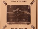 JOEY WELZ w/ LINK WRAY + RAY VERON: Listen to the Voices PRIVATE rockabilly LP