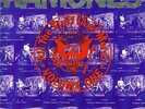 RAMONES-All The Stuff (And More) Volume 1 (2 LP) VINYL near mint