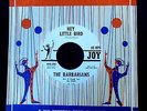 THE BARBARIANS-HEY LITTLE BIRD,JOY,RARE GARAGE 45 WITH SLEEVE,MINT MINUS PROMOI