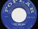 KENNY OWEN: I GOT THE BUG / HIGH SCHOOL SWEATER - ROCKABILLY (POPLAR) 45rpm