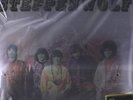 STEPPENWOLF     Same         200g  Vinyl LP   limited ed  ovp sealed
