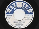 '57 Rockin' Blues/Swamp Pop JOE HUDSON Hoo-Wee Pretty Baby EXCELLO M- DJ HEAR