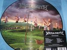 Megadeth Youthanasia Limited Edition Picture Disc Thrash Vinyl LP Album Record