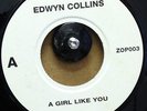 EDWYN COLLINS-A Girl Like You-7