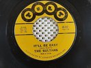 THE SULTAN IT'LL BE EASY / YOU GOT ME GOIN' DOO WOP 45 1ST PRESS TILT 