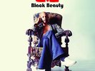 Love | Arthur Lee | Black Beauty 180-gram LP Numbered Edition of 5000 HMRLP001