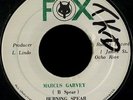 Burning Spear 