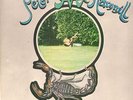 Peter Hammill-Vinyl LP Gatefold-Chameleon In The Shadow Of The Night-Char-Ex/VG+