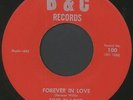 FIVE BLACKS: Forever In Love / Come On 45 Soul