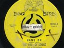 Wall Of Sound - HANG ON / YOU HAD TO HAVE YOUR WAY - Big Bird 127
