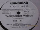 LAST EXITwhispering voices7
