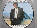 Bruce Springsteen Tunnel of love LP Picture Disc With Mint Sleeve EX/M