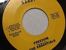 The Essentials Rare GARAGE PSYCH 45 Freedom / Sunshine Baby KANDY Label HEAR W25