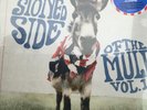 Gov't Mule - Stoned Side Of The Mule Vol. 1 Lp RSD Black Fri. 2014